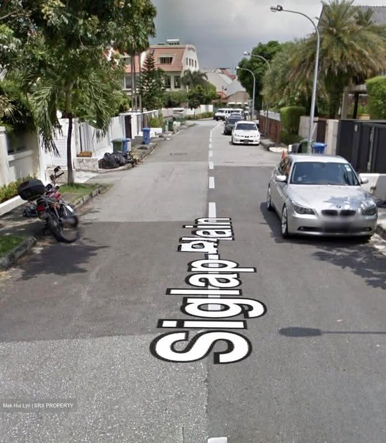 Frankel Estate (D15), Detached #618326911